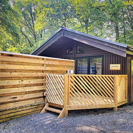 The Squirrel Lodge - Hot Tub - Pet Friendly - Pembrokeshire-Tenby Carmarthen Kültér fotó
